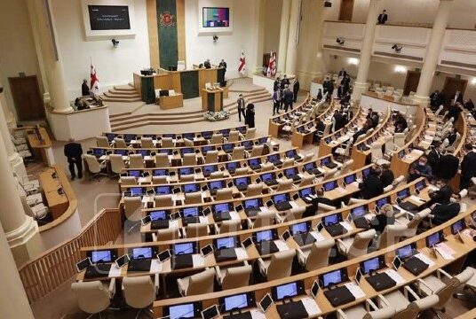 Georgia Parliament Transparency Bill Debate
