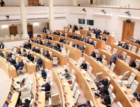 Georgia parliament draft law discussion