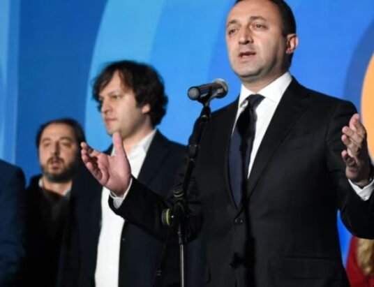 Georgian Dream Party
