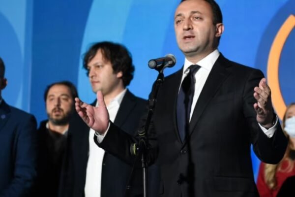 Georgian Dream Party