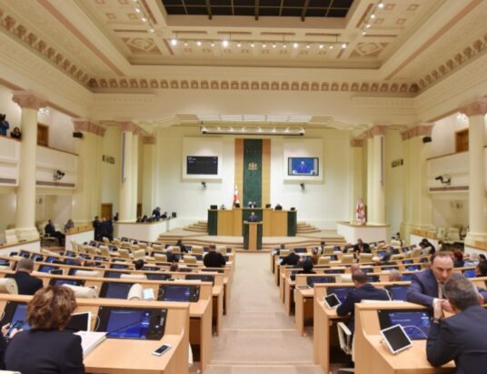 Georgian Parliament Controversial Laws Debate