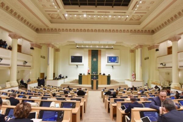 Georgian Parliament Controversial Laws Debate