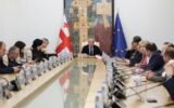Georgian Parliament foreign influence debate