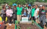 Jonesboro community garden restoration