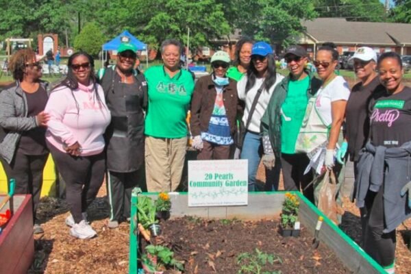 Jonesboro community garden restoration