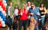 mutt strut charity walk