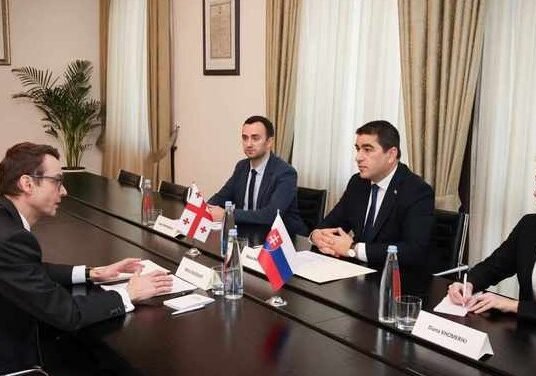 Georgia Slovakia economic meeting