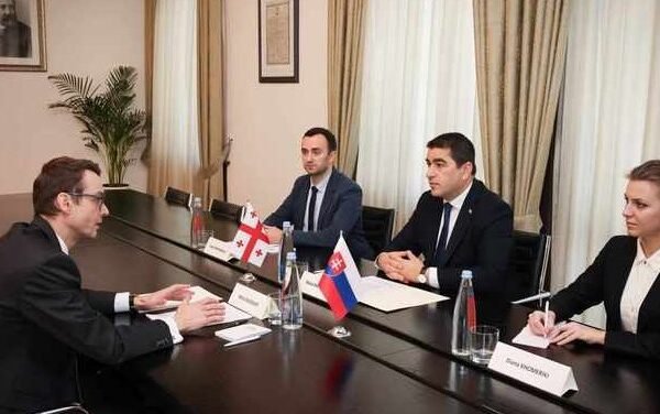 Georgia Slovakia economic meeting