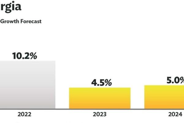 Georgia economic growth statistics