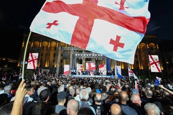 Georgian Dream party political controversy