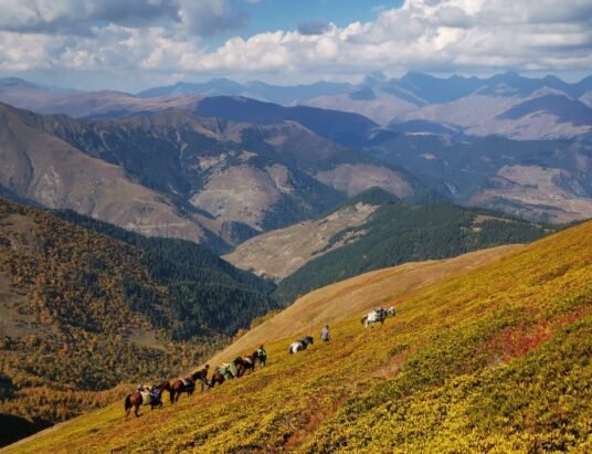 Machakhela Protected Landscape Czech Republic Ambassador Visit