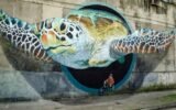 Street art graffiti