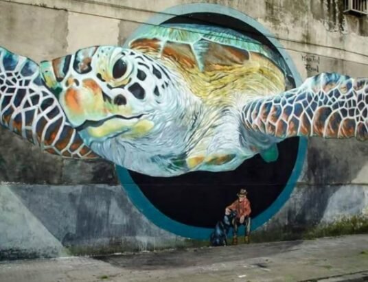 Street art graffiti