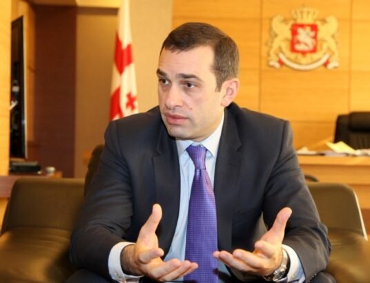 georgian defense minister