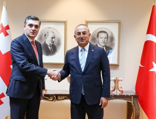 turkey georgia economic cooperation