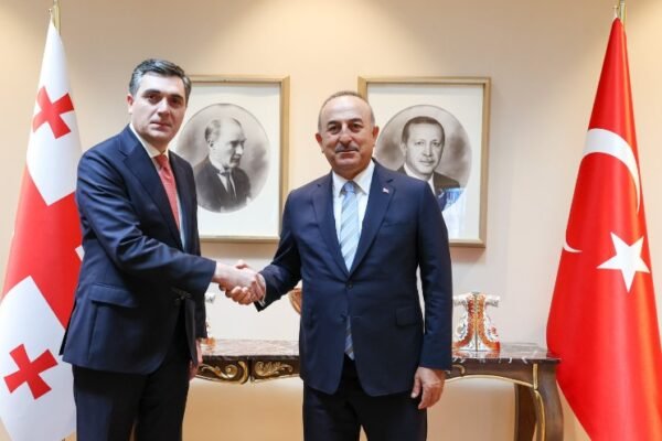 turkey georgia economic cooperation