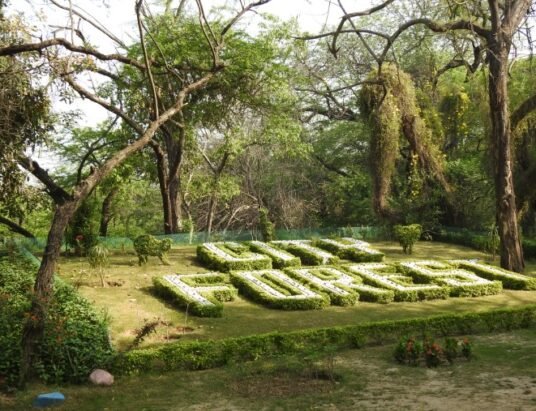 forest park new department