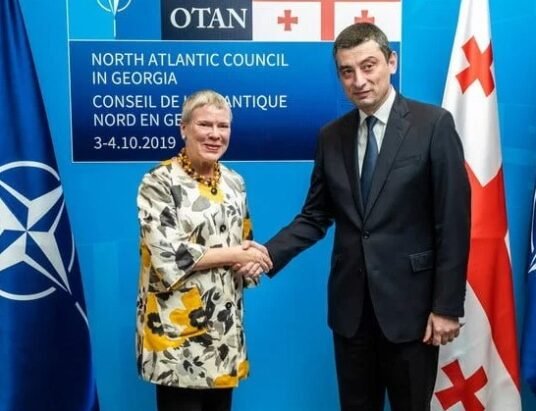 gakharia criticizes nato summit georgia