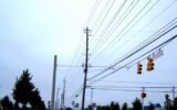 georgia electricity