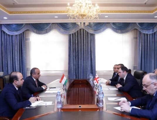 georgian and tajikistan officials meeting