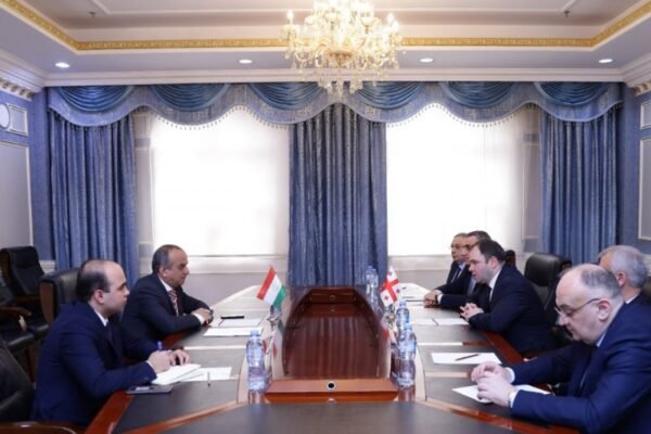 georgian and tajikistan officials meeting