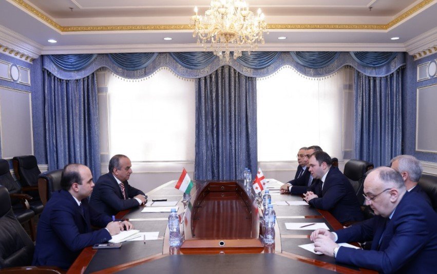 georgian and tajikistan officials meeting