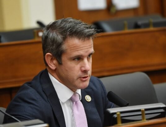 kinzinger urges georgians