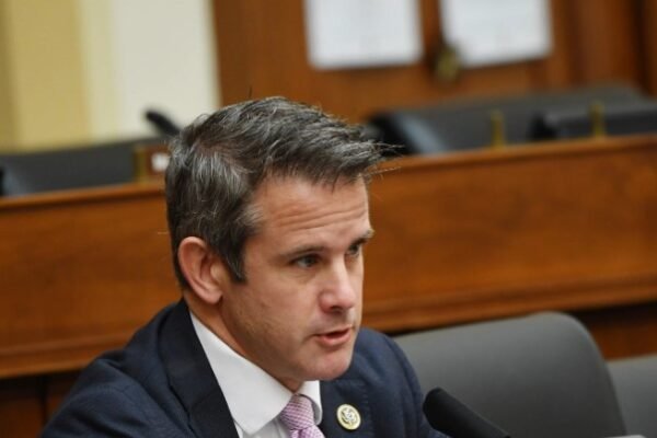 kinzinger urges georgians