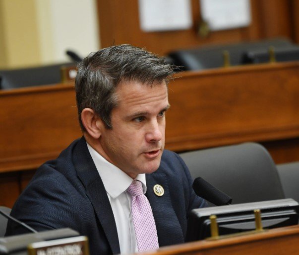 kinzinger urges georgians