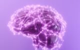 p21 peptide neurodegenerative cognitive enhancement