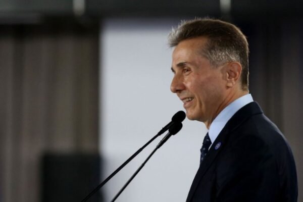 plot against bidzina ivanishvili