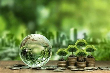 crystal financial inclusion loan