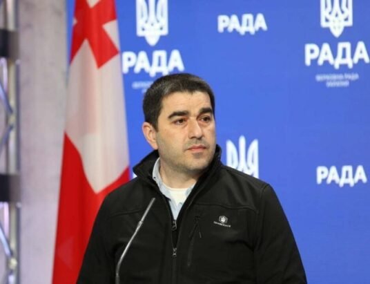 georgian parliament speaker shalva papuashvili financial