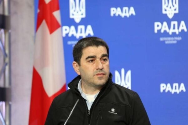 georgian parliament speaker shalva papuashvili financial