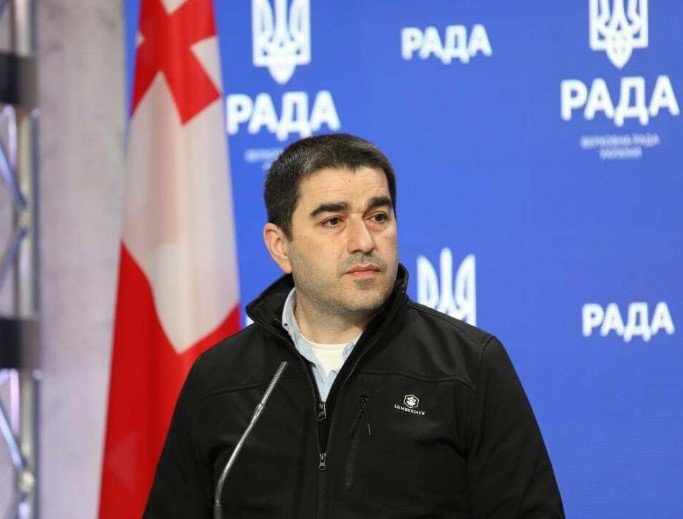 georgian parliament speaker shalva papuashvili financial