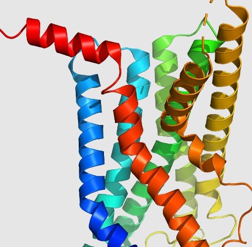 glp-1 metabolic regulation research findings