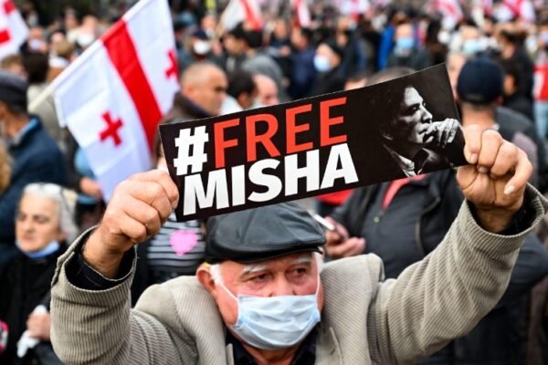 nika melia attacked georgia politics
