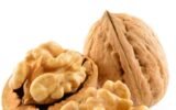 walnut import increase in Georgia