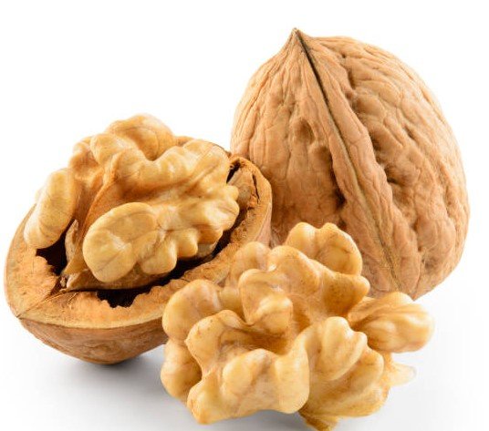 walnut import increase in Georgia
