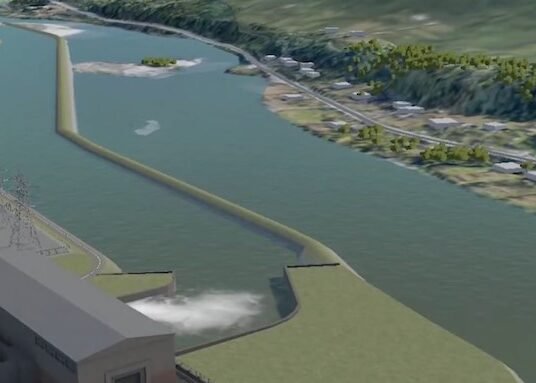 enka terminates namakhvani