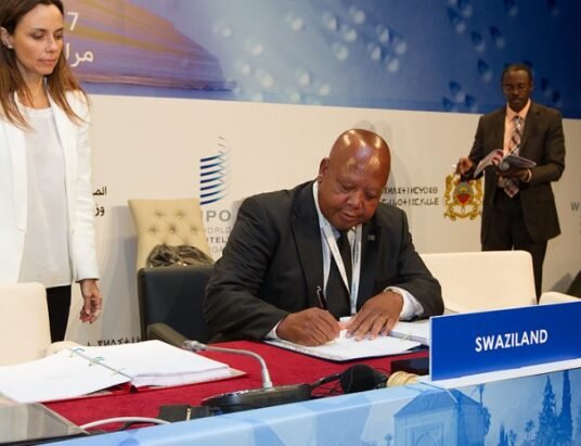 georgia marrakesh treaty accessibility