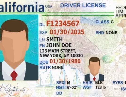 georgia-spain-driving-license