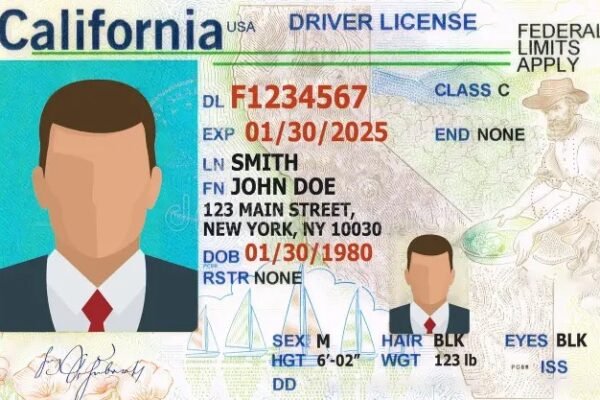 georgia-spain-driving-license