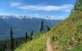 georgia travel alert webpage hurricane