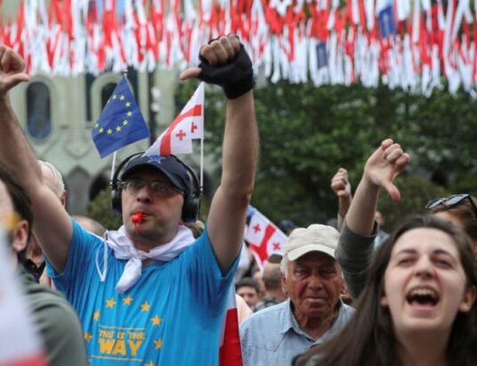 georgian organizations under new law