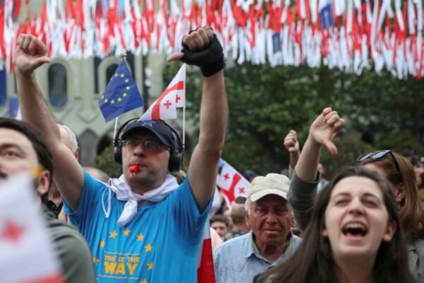 georgian organizations under new law