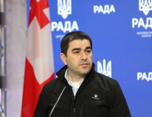 georgian parliament speaker shalva papuashvili