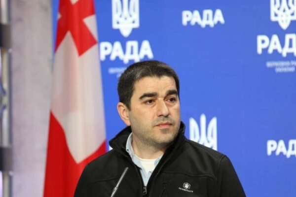 georgian parliament speaker shalva papuashvili