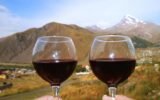 german wine experts exploring georgian