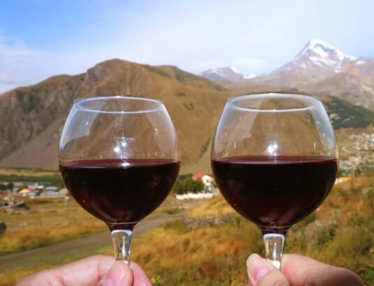 german wine experts exploring georgian